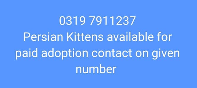 contact on given number