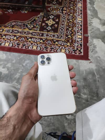 iphone 12 pro max pta approved