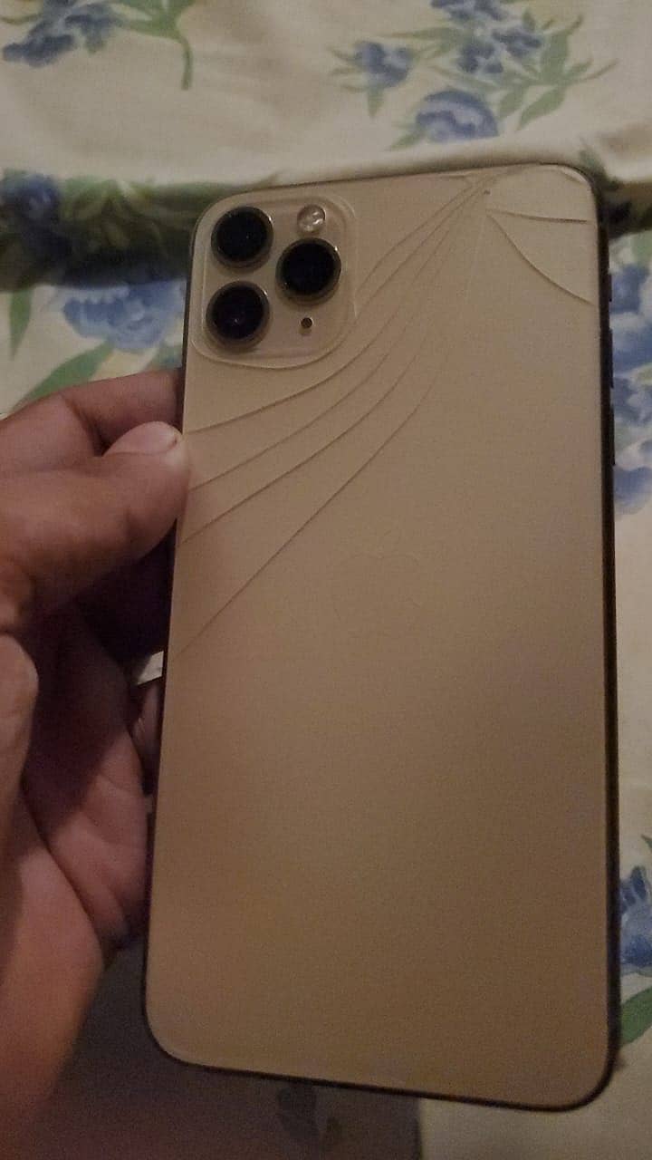 Apple iPhone 11 Pro Max 1