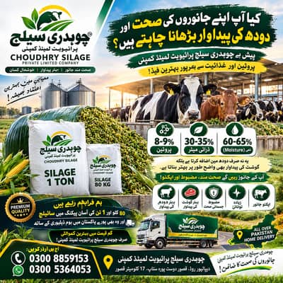 Corn Silage / Maki Silage / Animal Feeds چوہدری سائیلج
