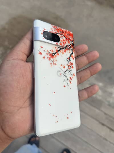 Google Pixel 7 Pta approved