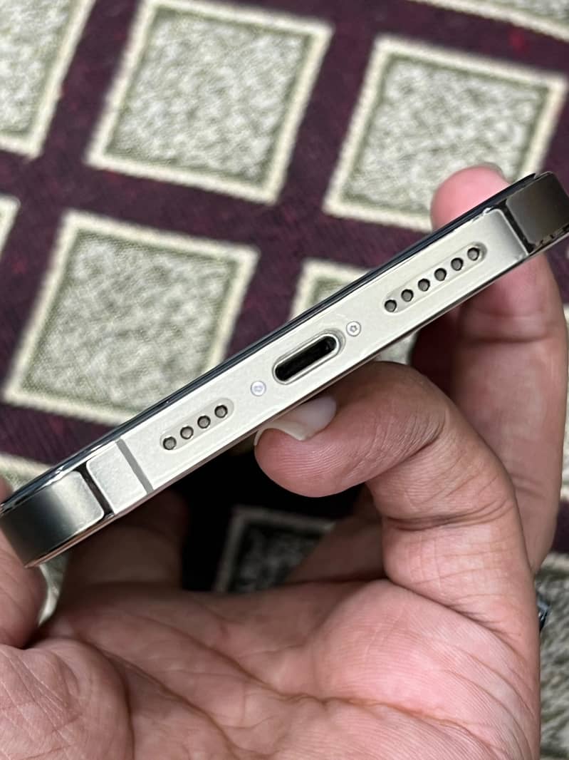 Apple iPhone 13 Pro Max 1