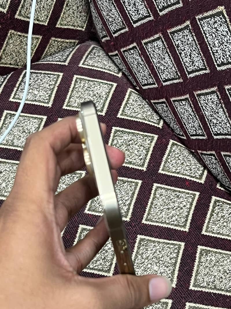 Apple iPhone 13 Pro Max 2