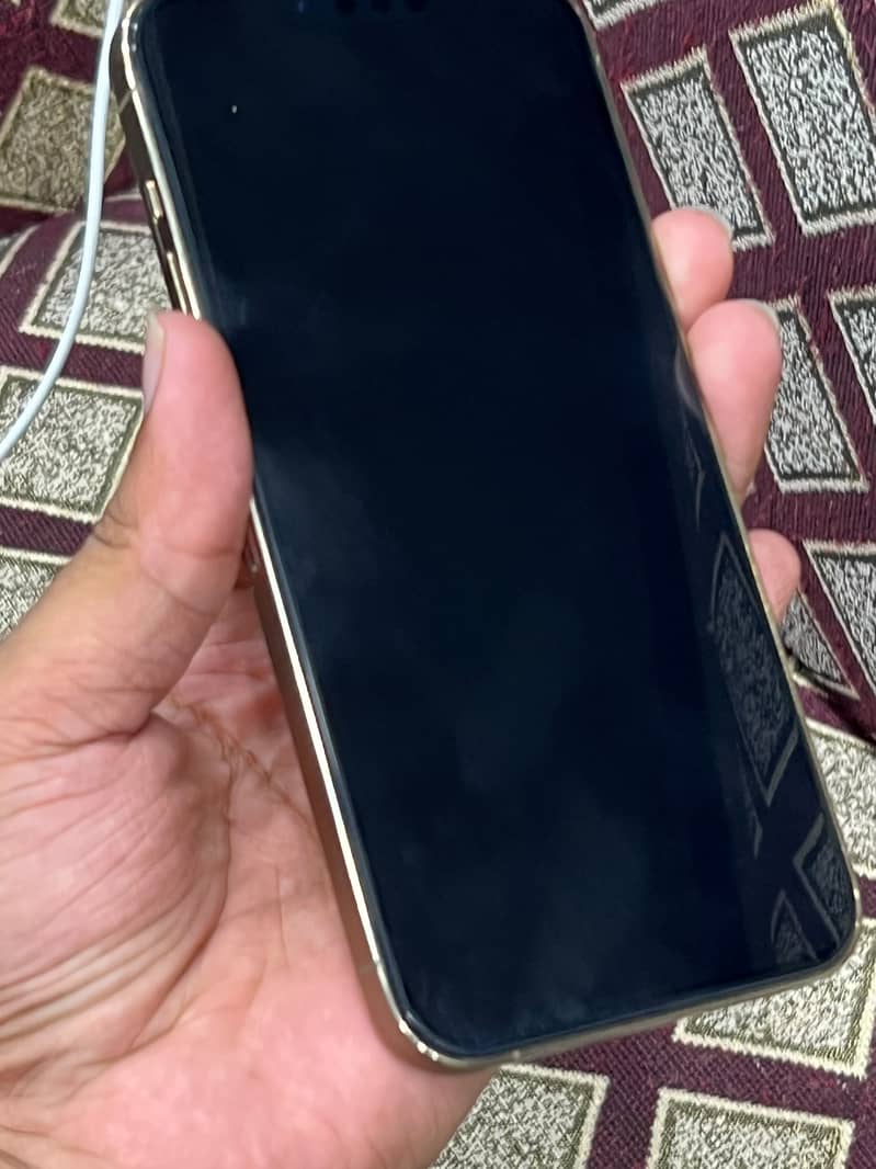 Apple iPhone 13 Pro Max 5