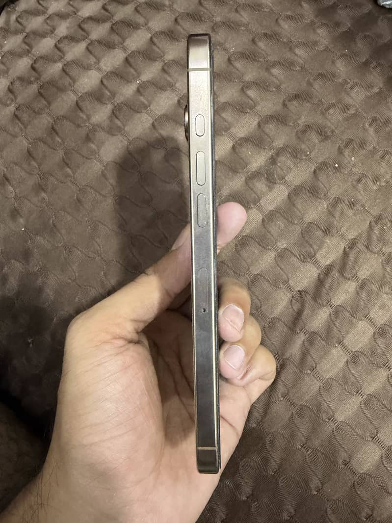 Apple iPhone 16 Pro Max 1