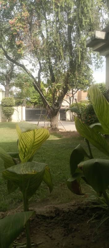 2-KANAL OLD HOUSE WITH PARTY GARDEN
