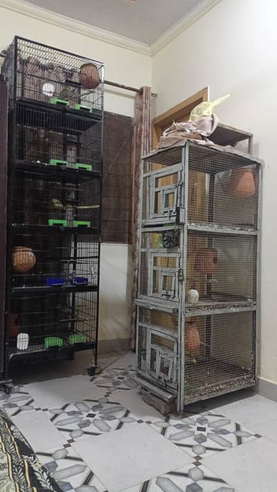 cage 3 portion
