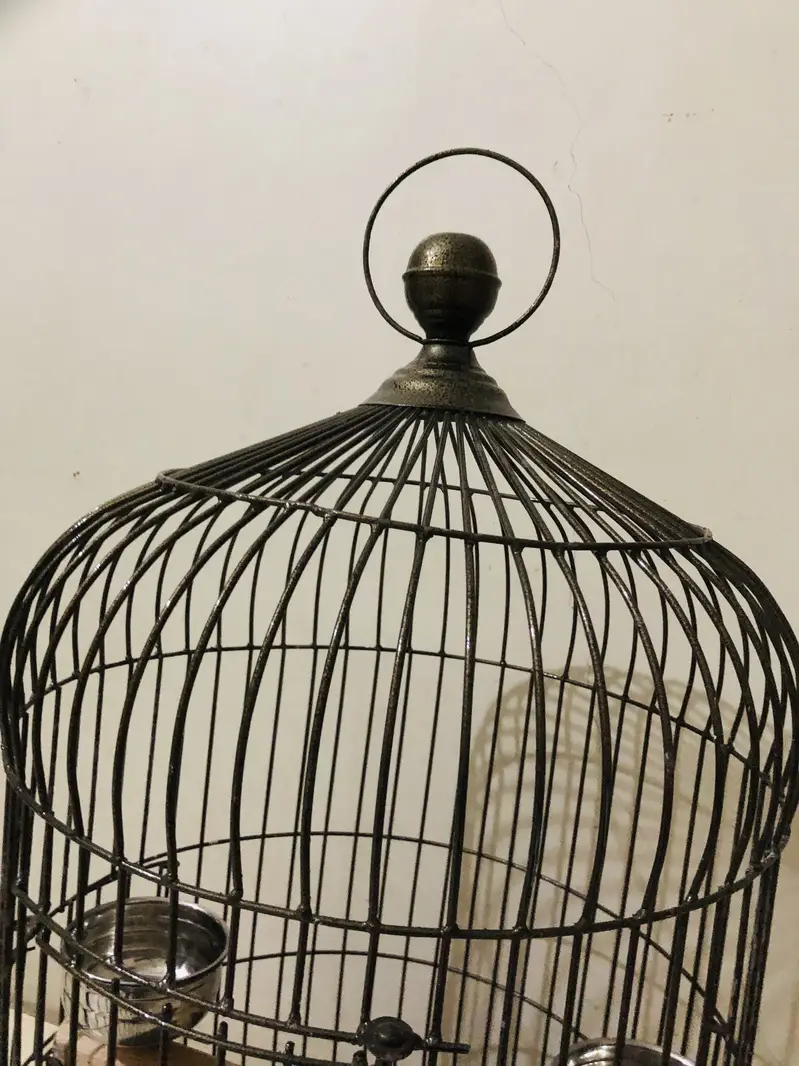 New heavy round cage — photo 2