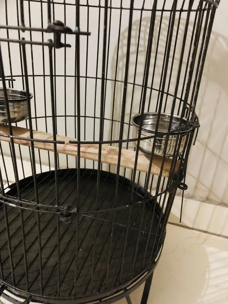 New heavy round cage — photo 3