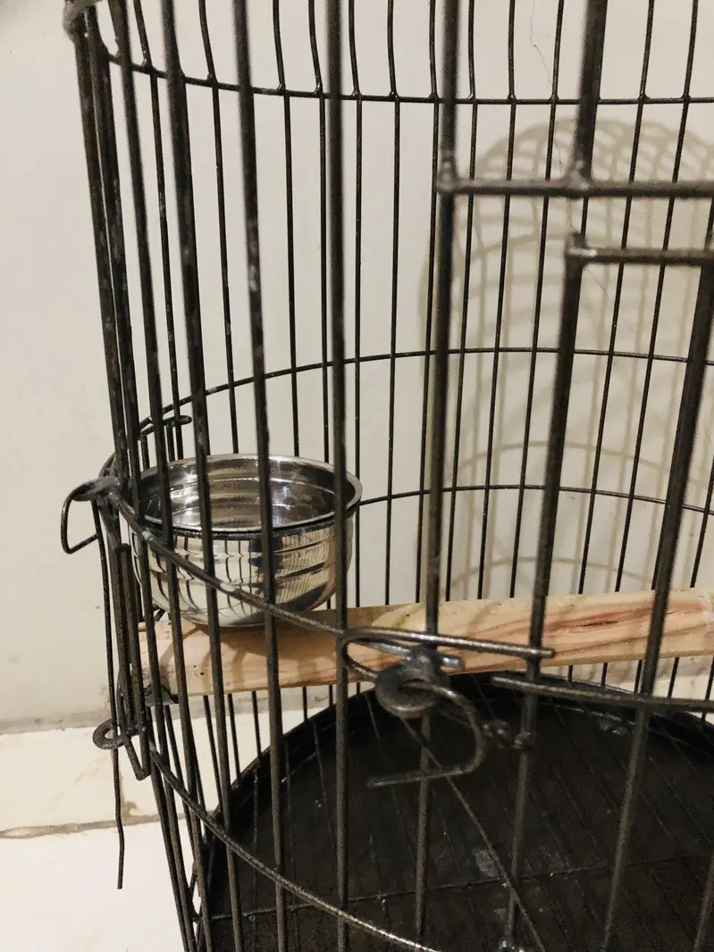 New heavy round cage — photo 4