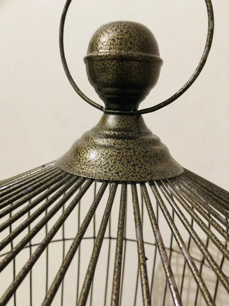 New heavy round cage — photo 5