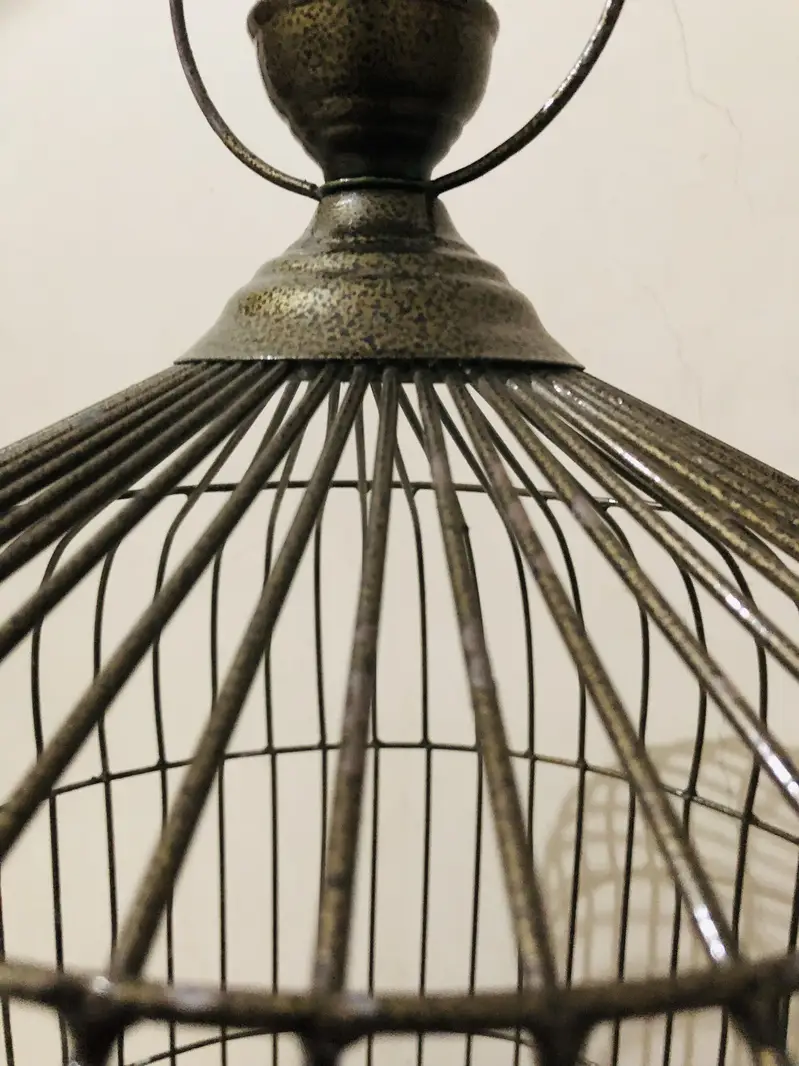 New heavy round cage — photo 6
