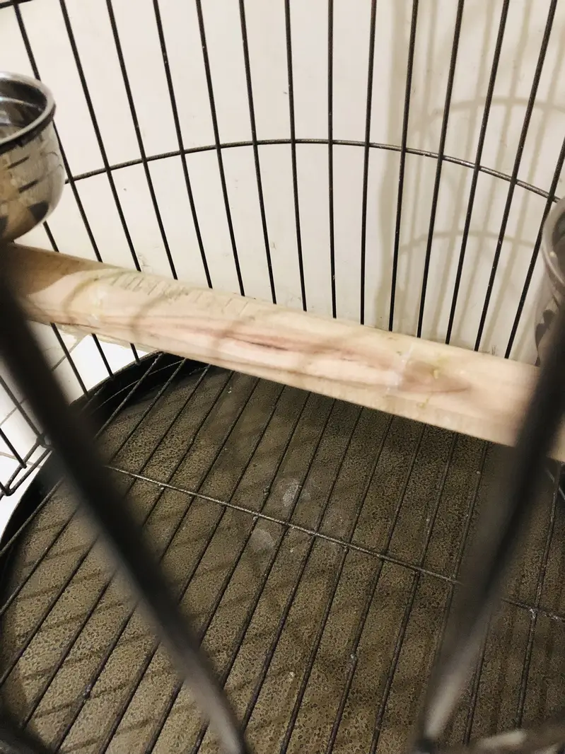 New heavy round cage — photo 7