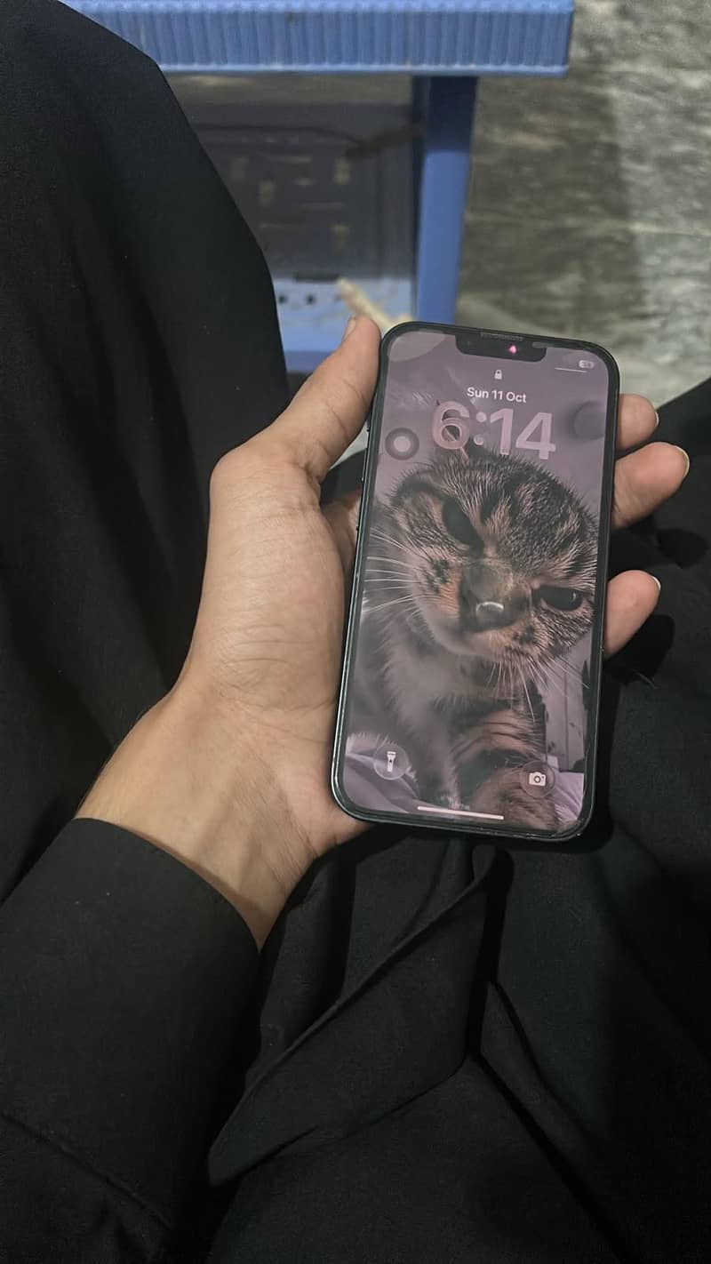Apple iPhone 13 1