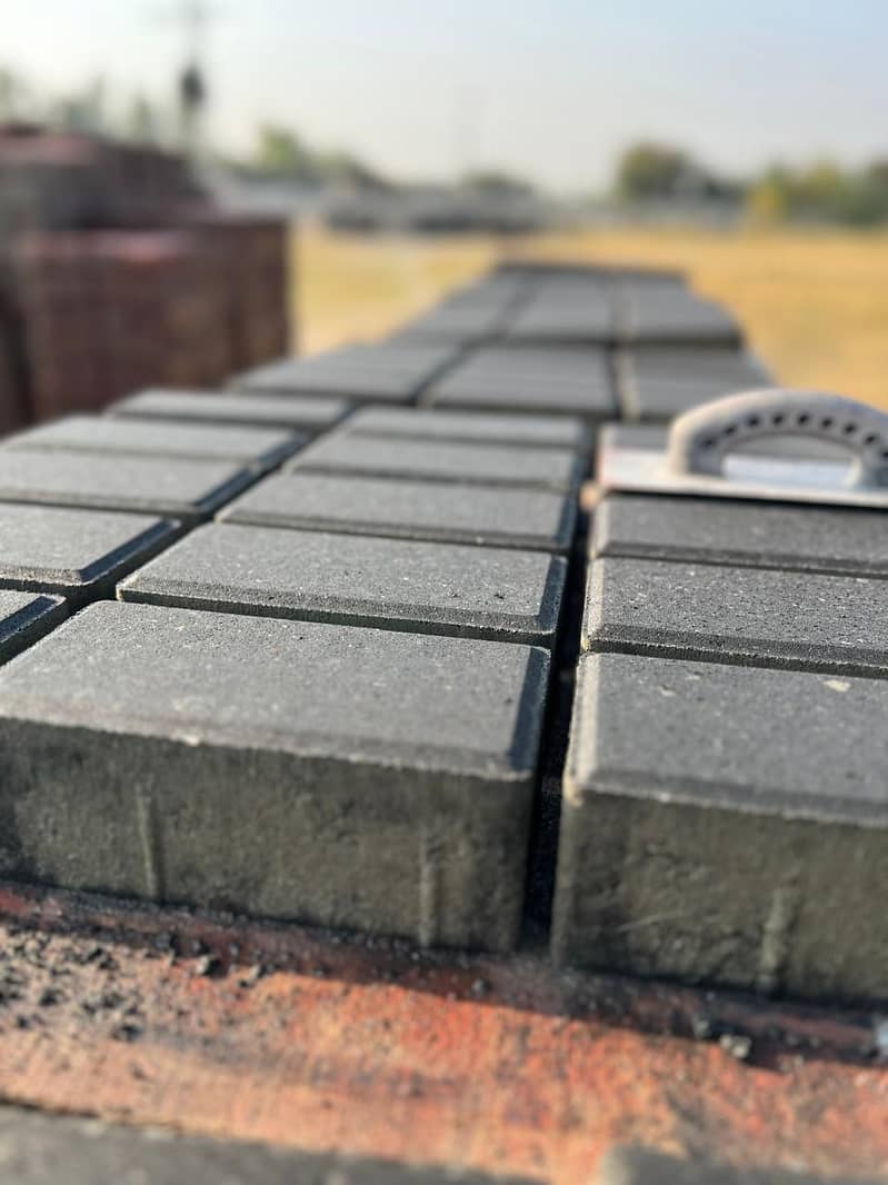 pavers 6