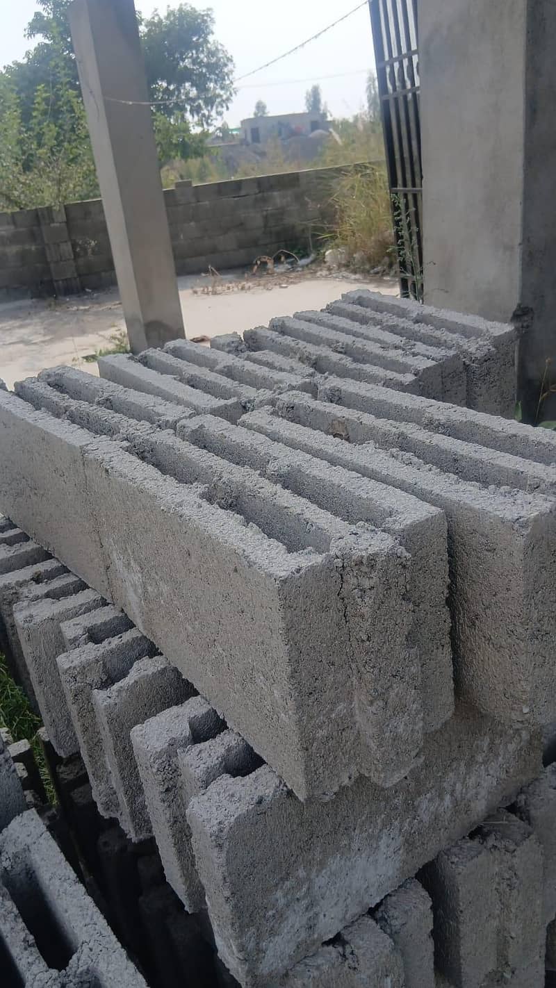 pavers 12