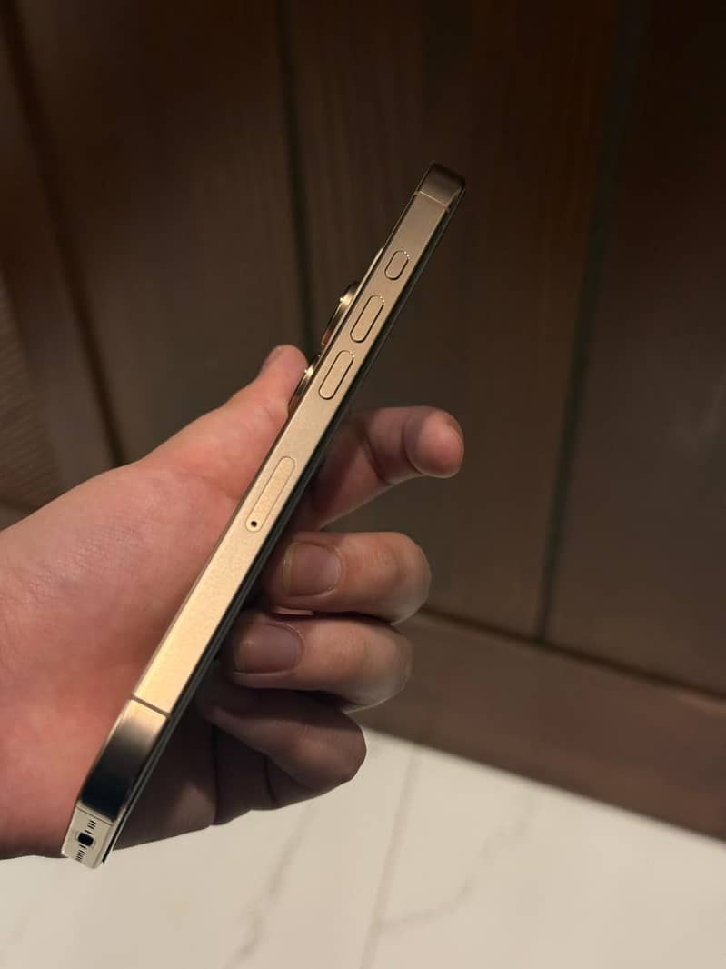 Apple iPhone 16 Pro 1