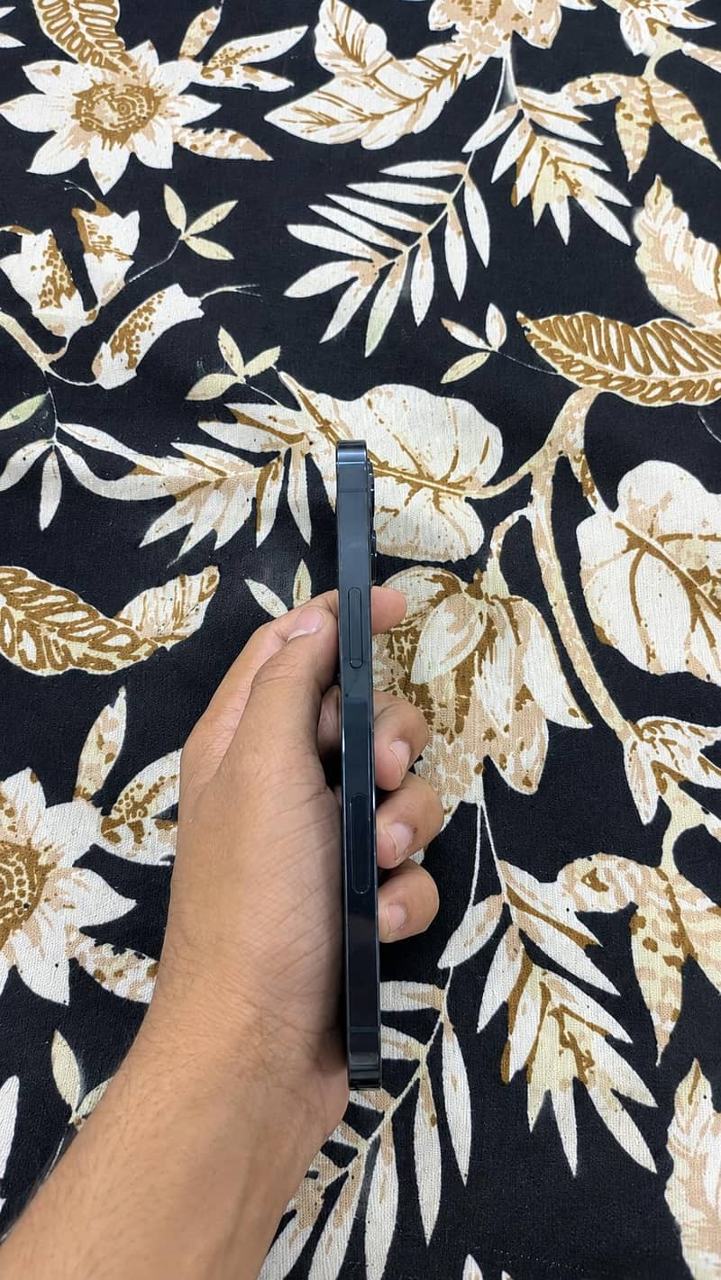12 pro 4