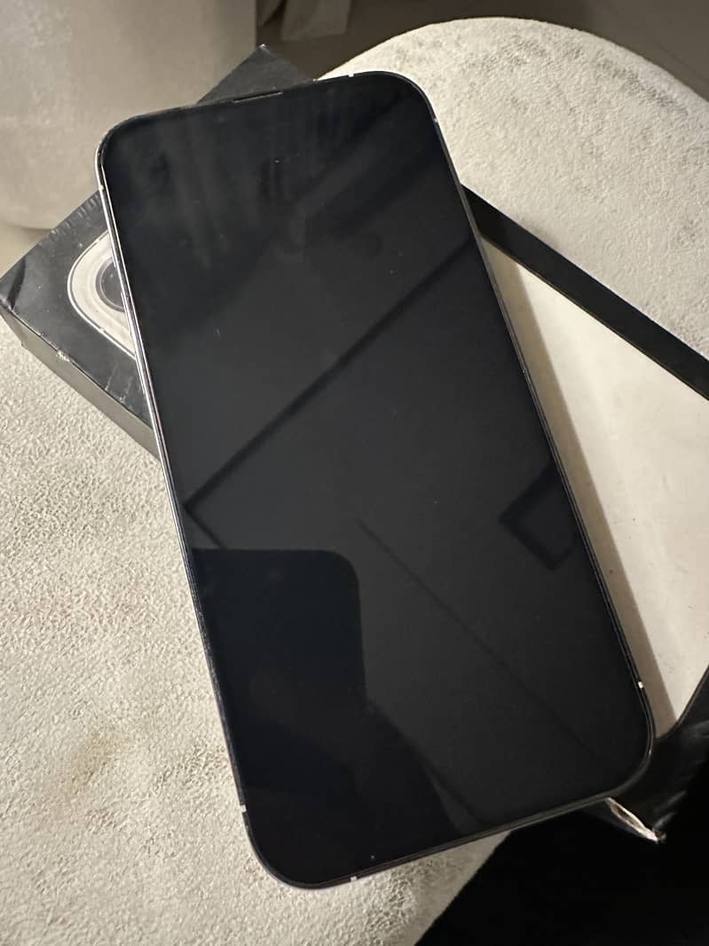 Apple iPhone 13 Pro Max 1
