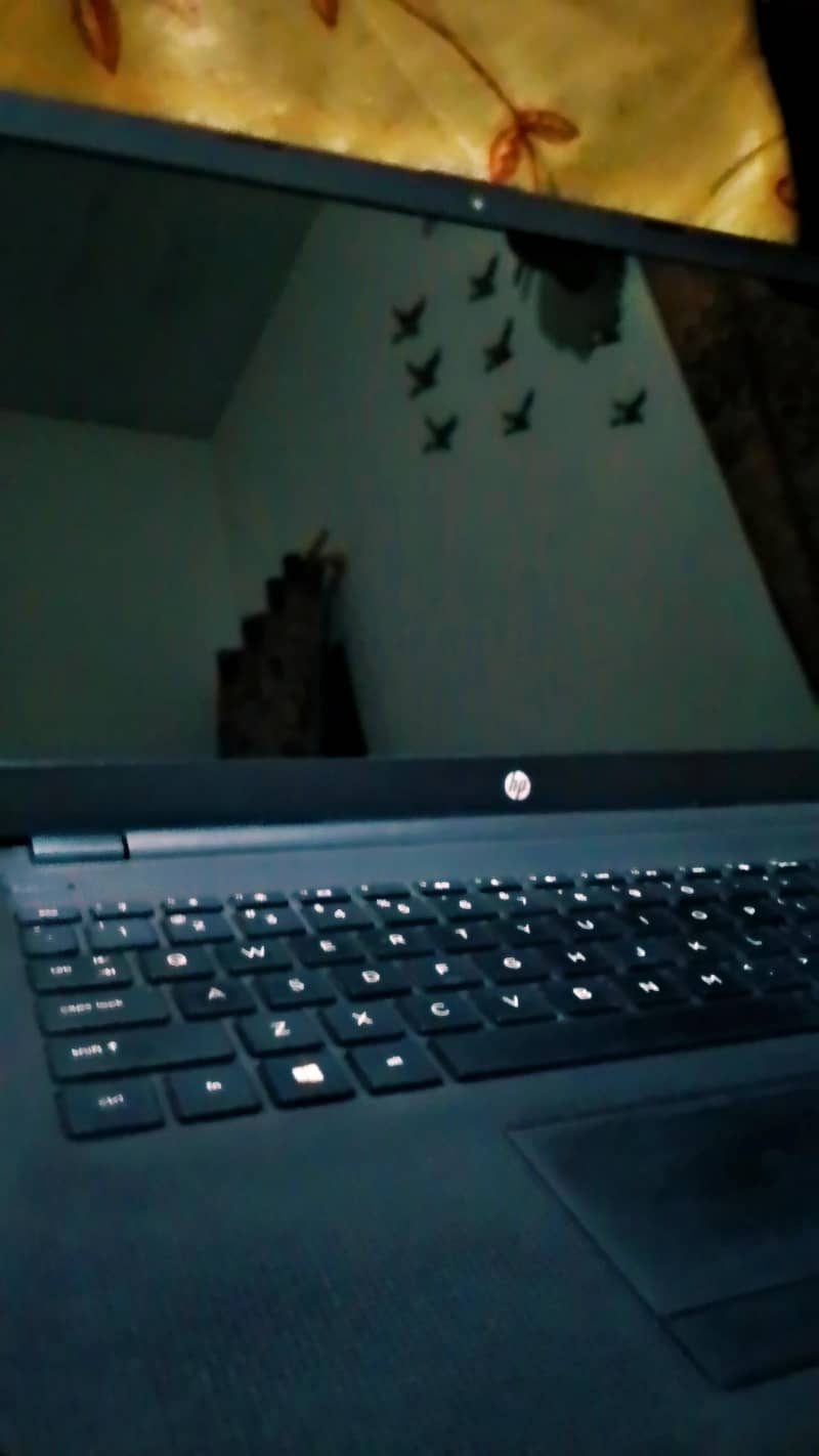 Hp Laptop 1