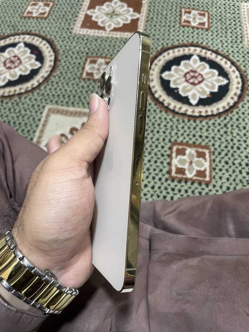Apple iPhone 12 Pro Max 2