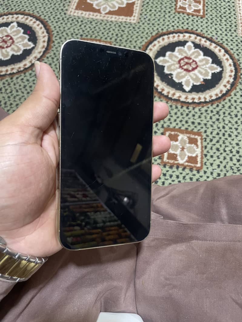 Apple iPhone 12 Pro Max 3