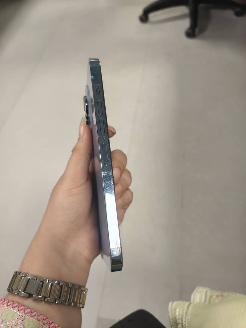 Apple iPhone 13 Pro Max 1