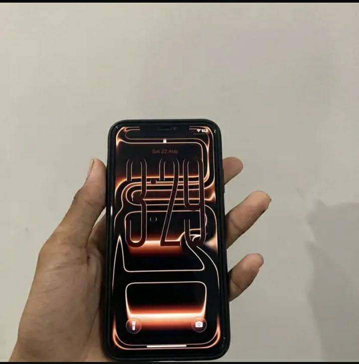 Apple iPhone 11 Pro Max 1