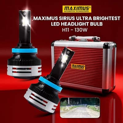 Original Maximus LED Headlights Bulb