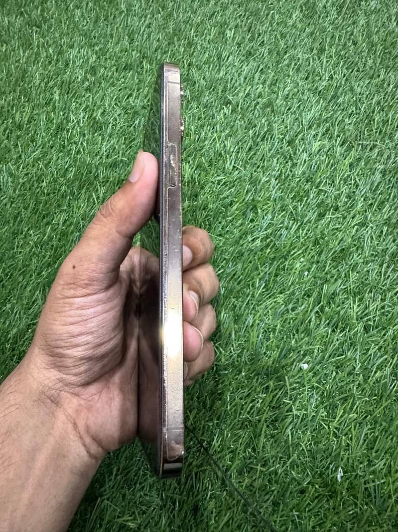 Apple iPhone 12 Pro Max 1