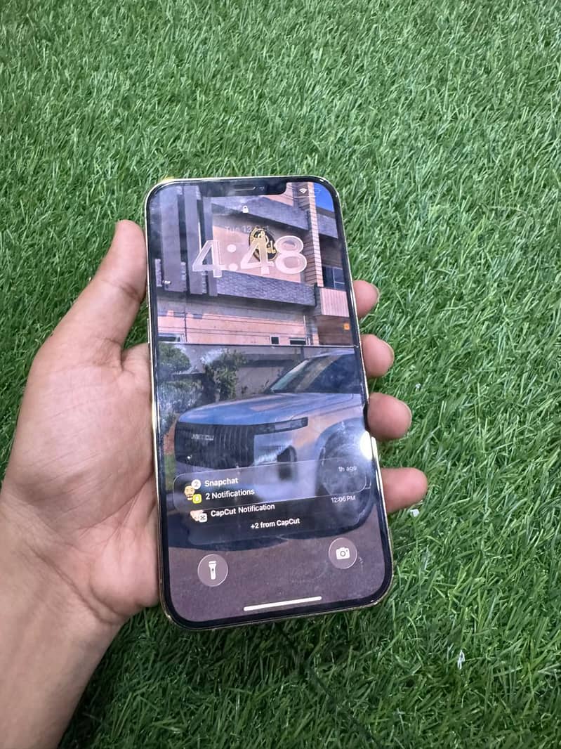 Apple iPhone 12 Pro Max 2