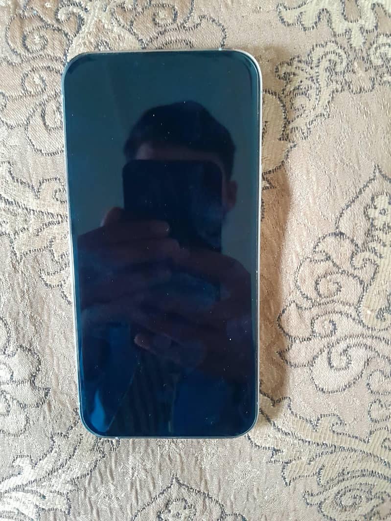 iphone 13 pro max 1