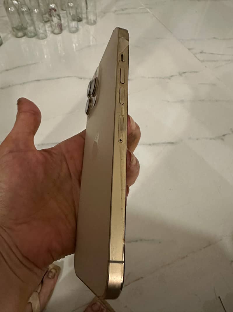 Apple iPhone 13 Pro 1