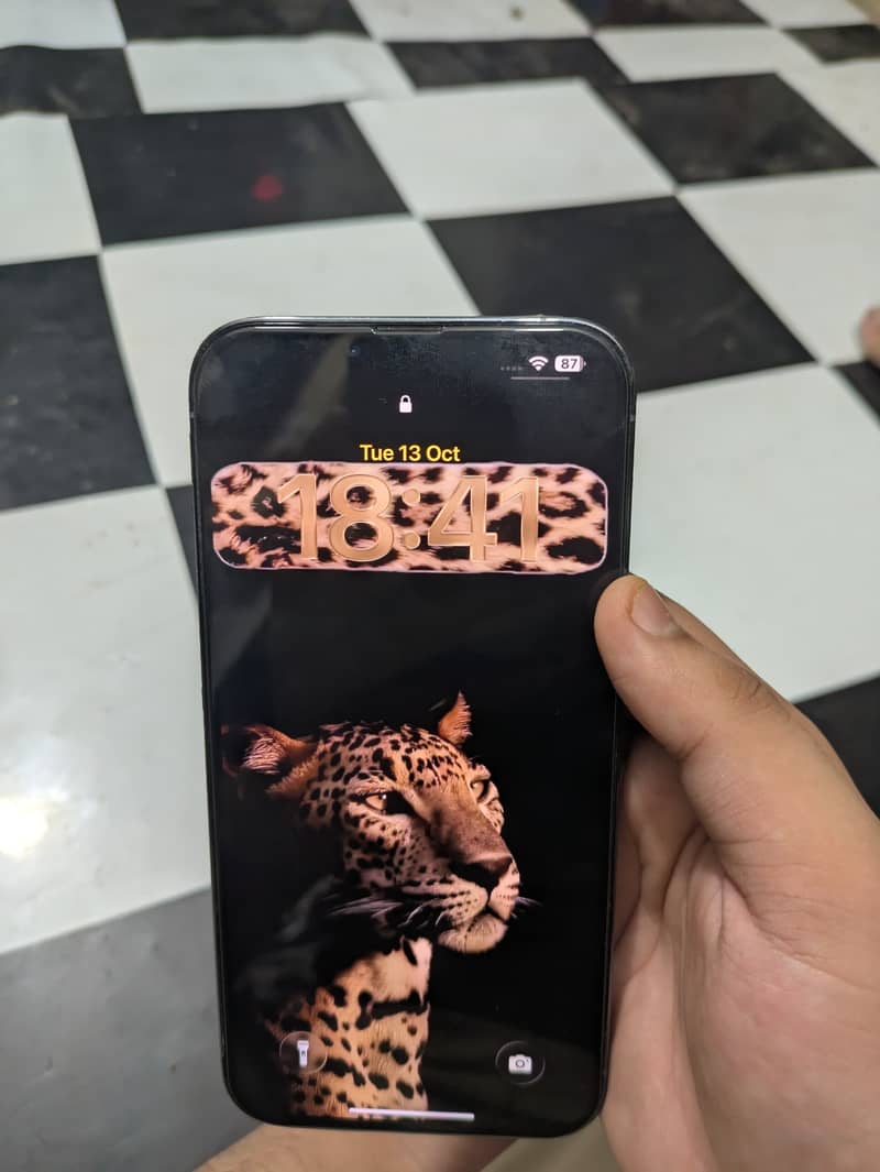 Apple iPhone 13 Pro Max 1