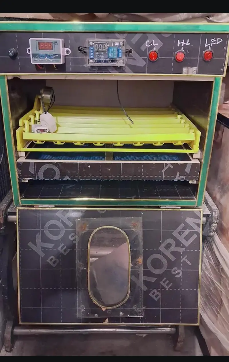 incubator 56 eggs auto — photo 3