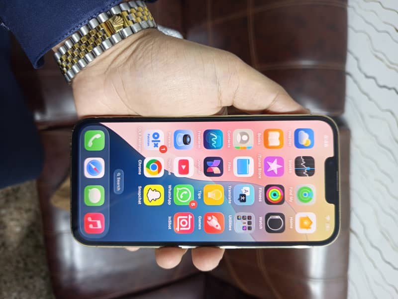 Apple iPhone 13 Pro Max 0
