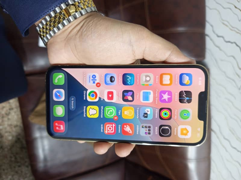 Apple iPhone 13 Pro Max 1
