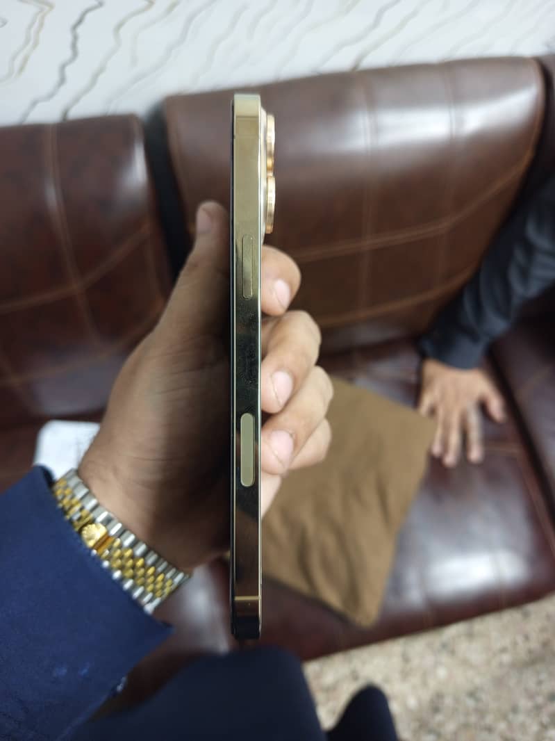Apple iPhone 13 Pro Max 2