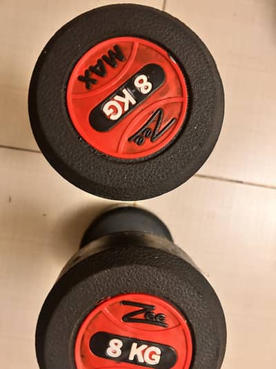 Dumbbells (8kg)