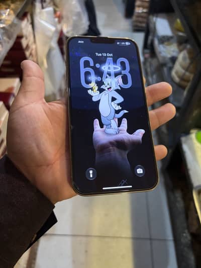 Apple iPhone 13 Pro Max