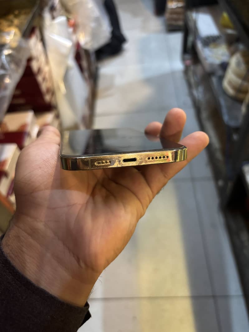 Apple iPhone 13 Pro Max 1