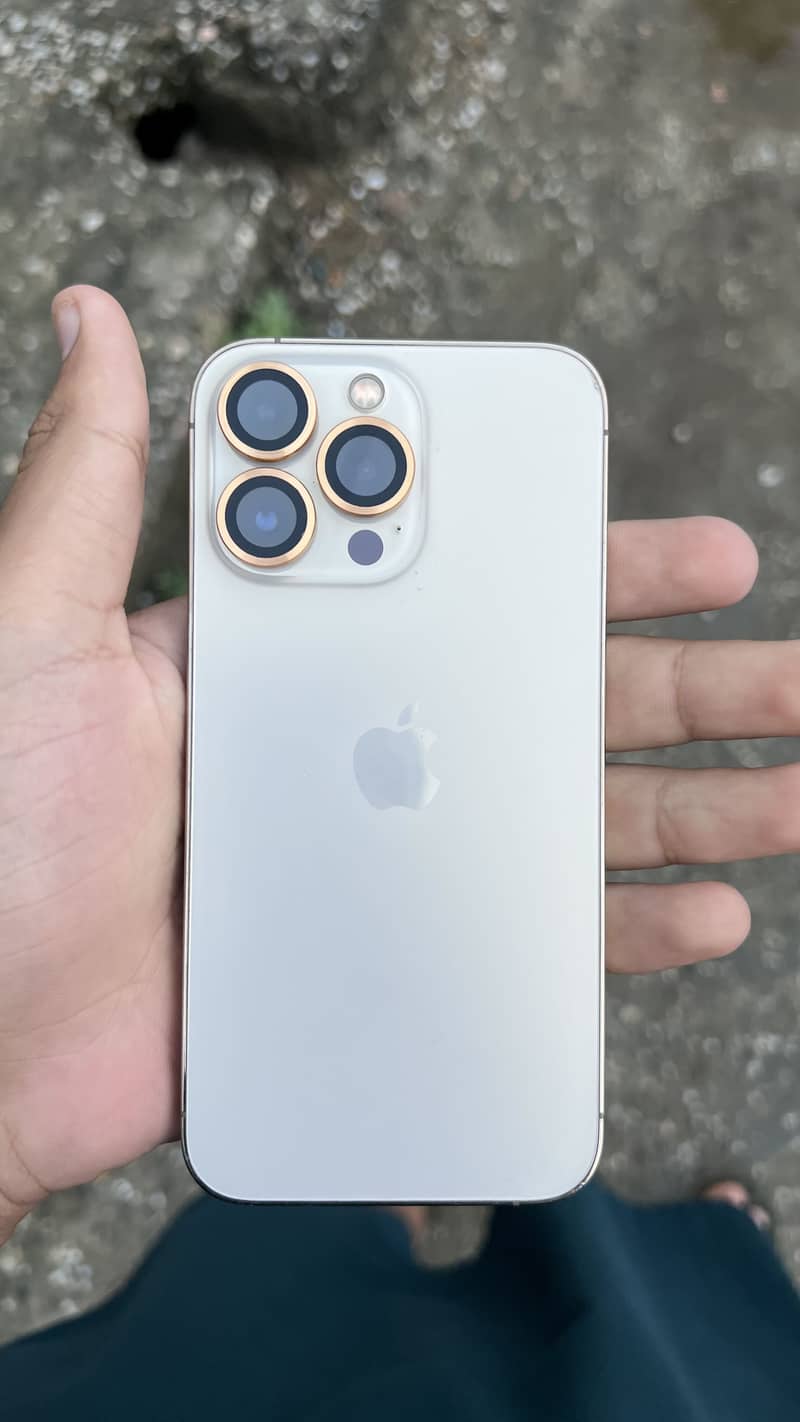 Apple iPhone 13 Pro 0