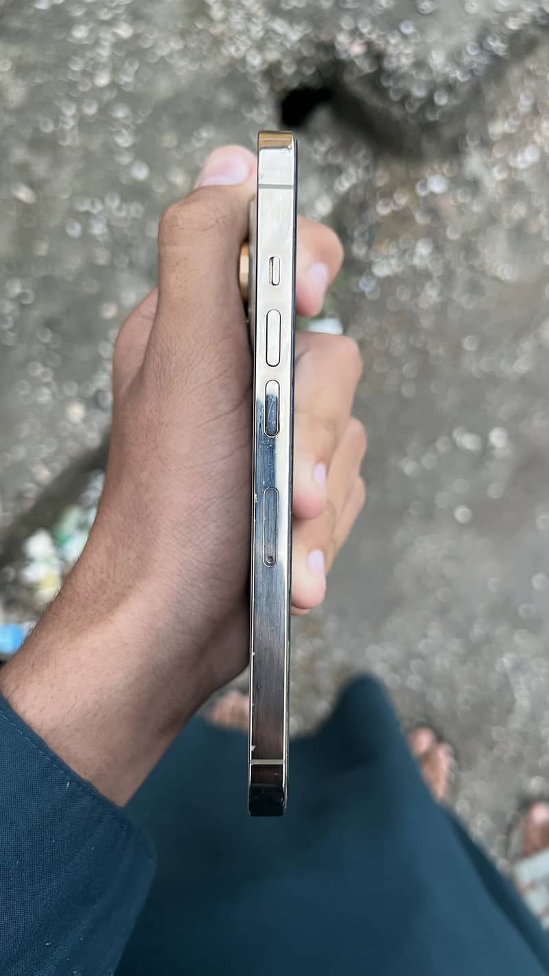 Apple iPhone 13 Pro 2