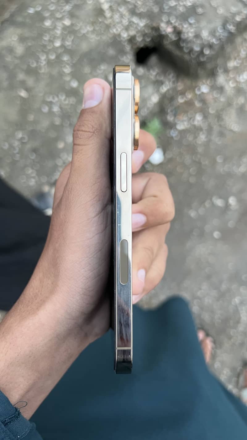 Apple iPhone 13 Pro 3