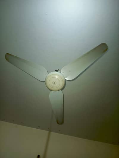 SK Ceiling Fan