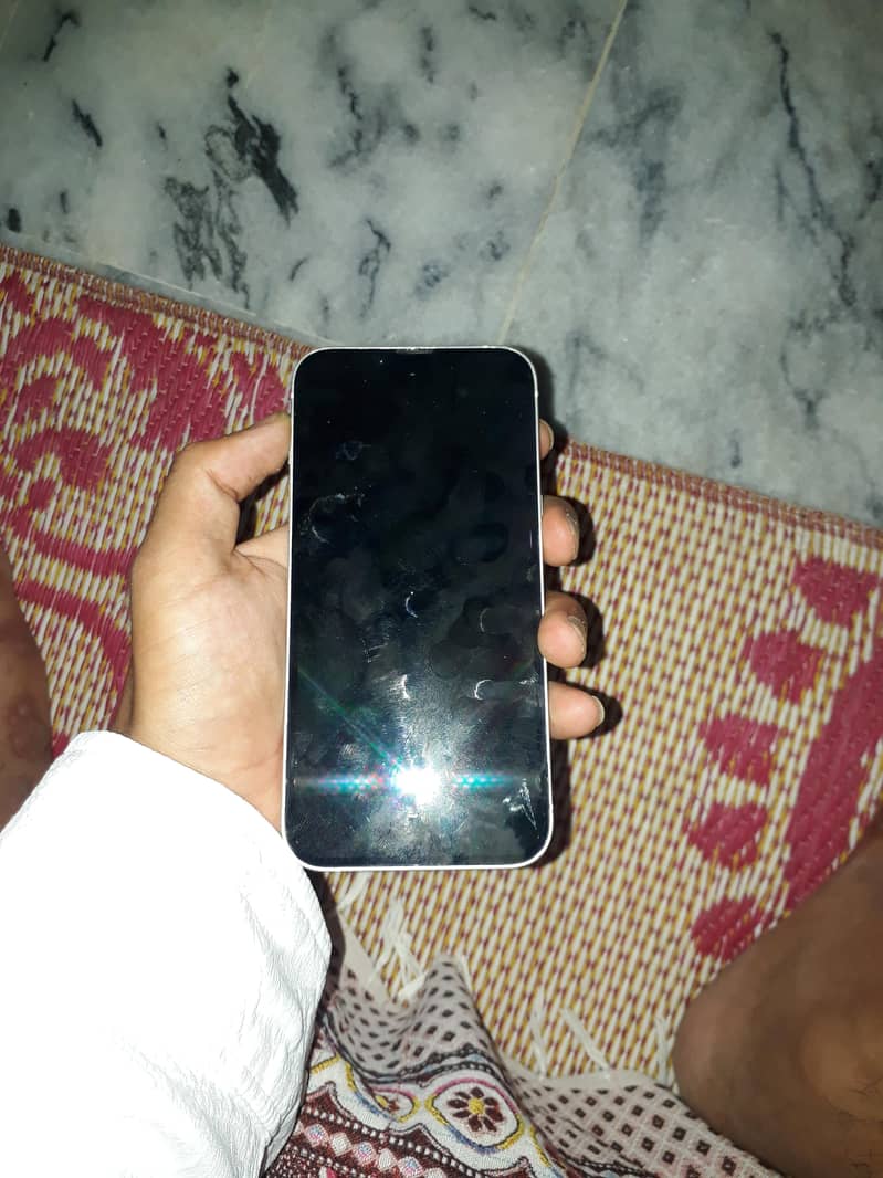 Apple iPhone 13 0