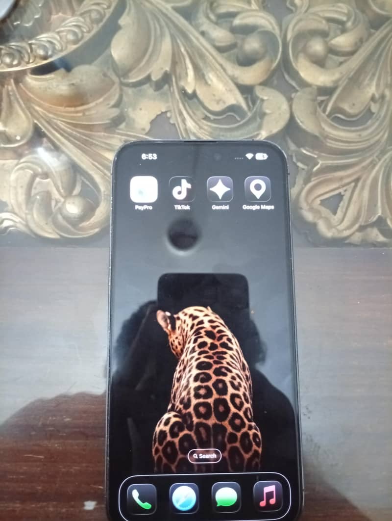 Apple iPhone 14 Pro Max 1