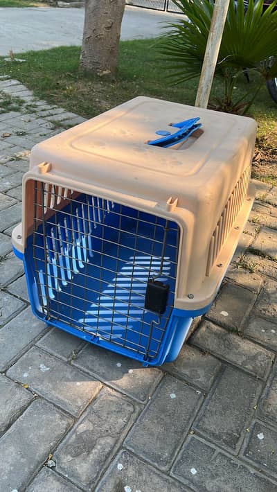 Jet box for puppies and cats