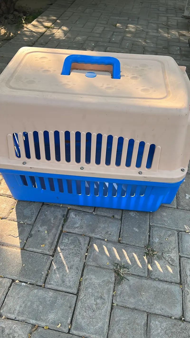 Jet box for puppies and cats — photo 2