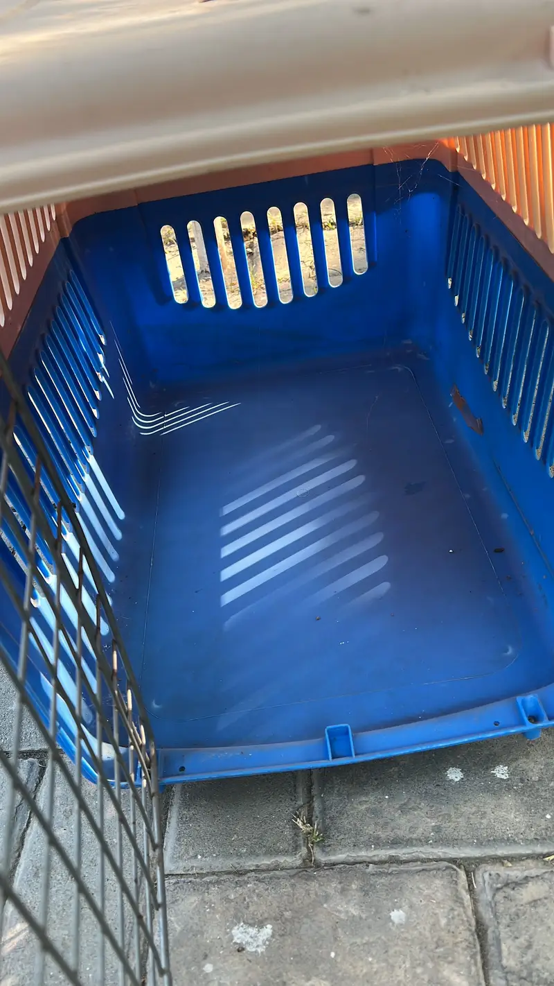 Jet box for puppies and cats — photo 3